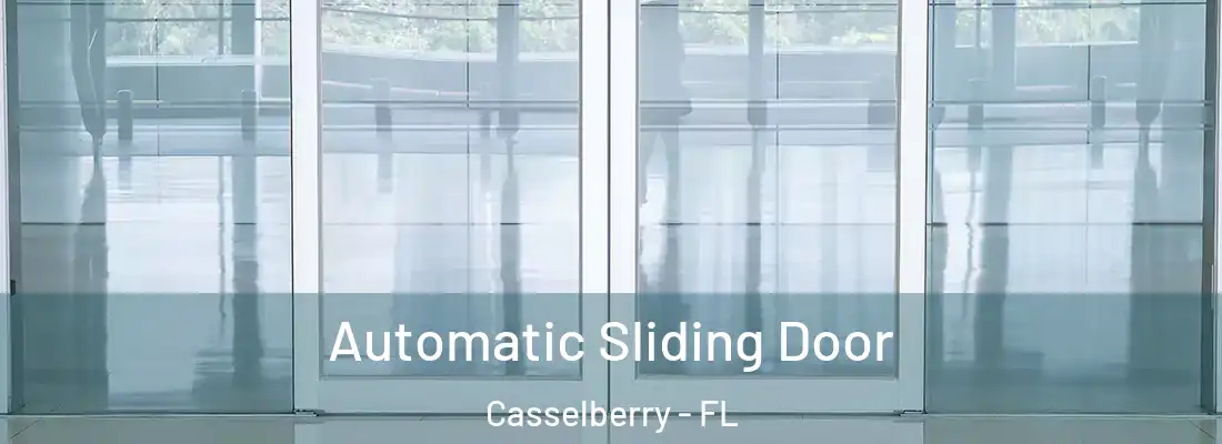 Automatic Sliding Door Casselberry - FL