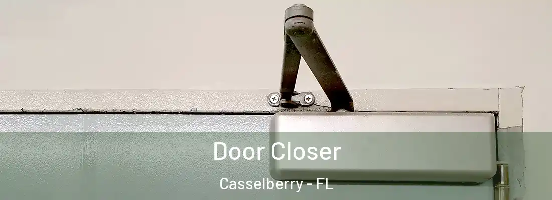  Door Closer Casselberry - FL