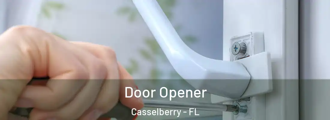  Door Opener Casselberry - FL