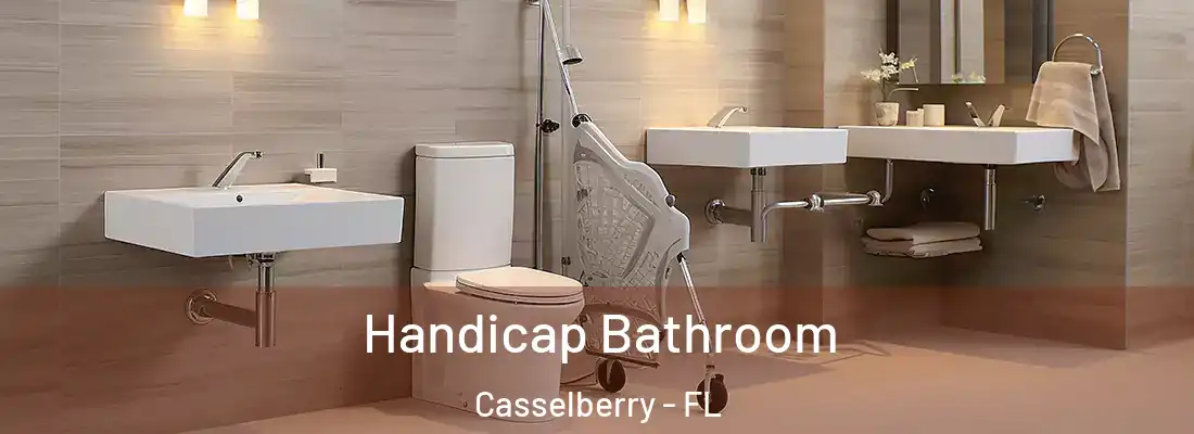  Handicap Bathroom Casselberry - FL