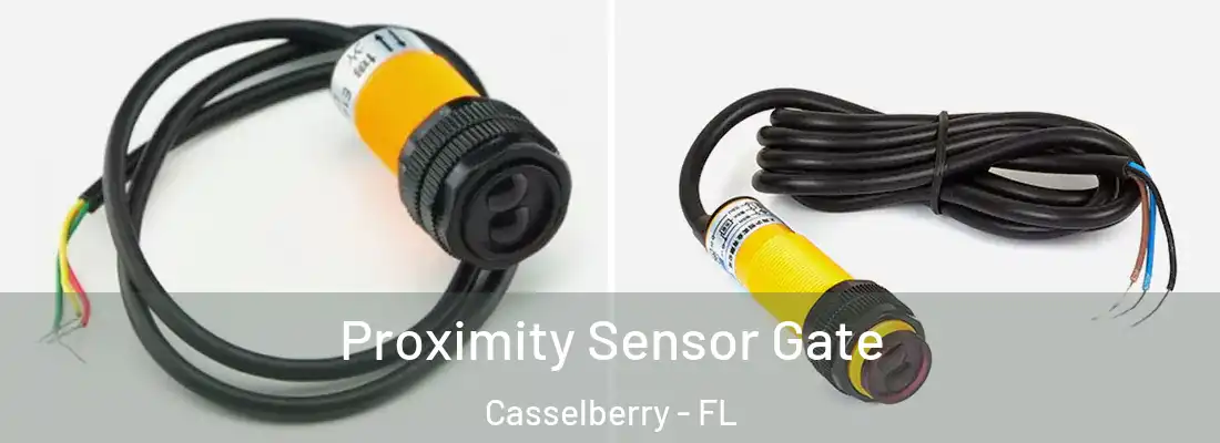  Proximity Sensor Gate Casselberry - FL